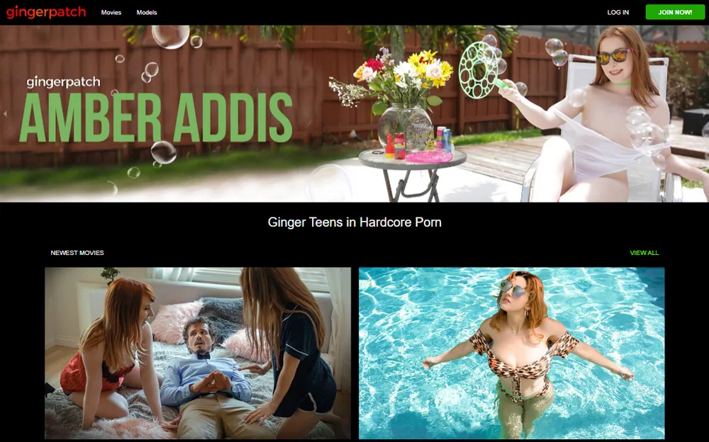 Ginger Patch — homepage screenshot