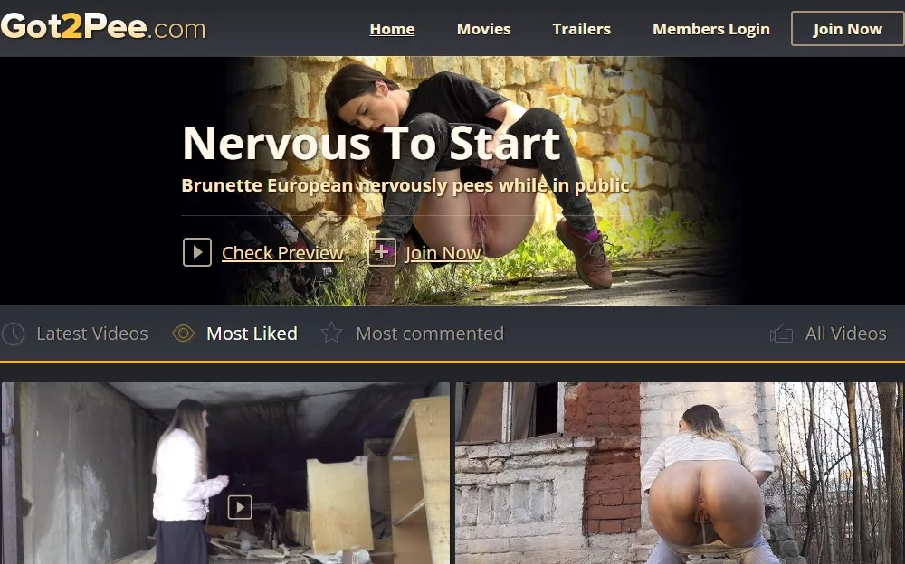 Got2 Pee — homepage screenshot