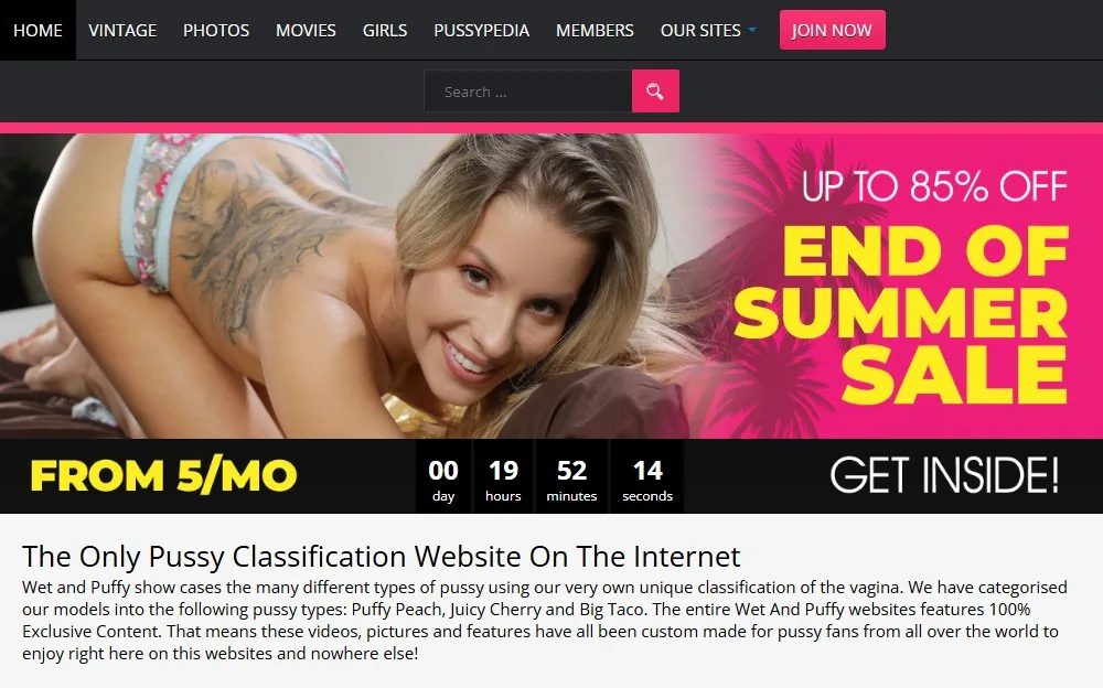 Wet And Puffy — homepage screenshot
